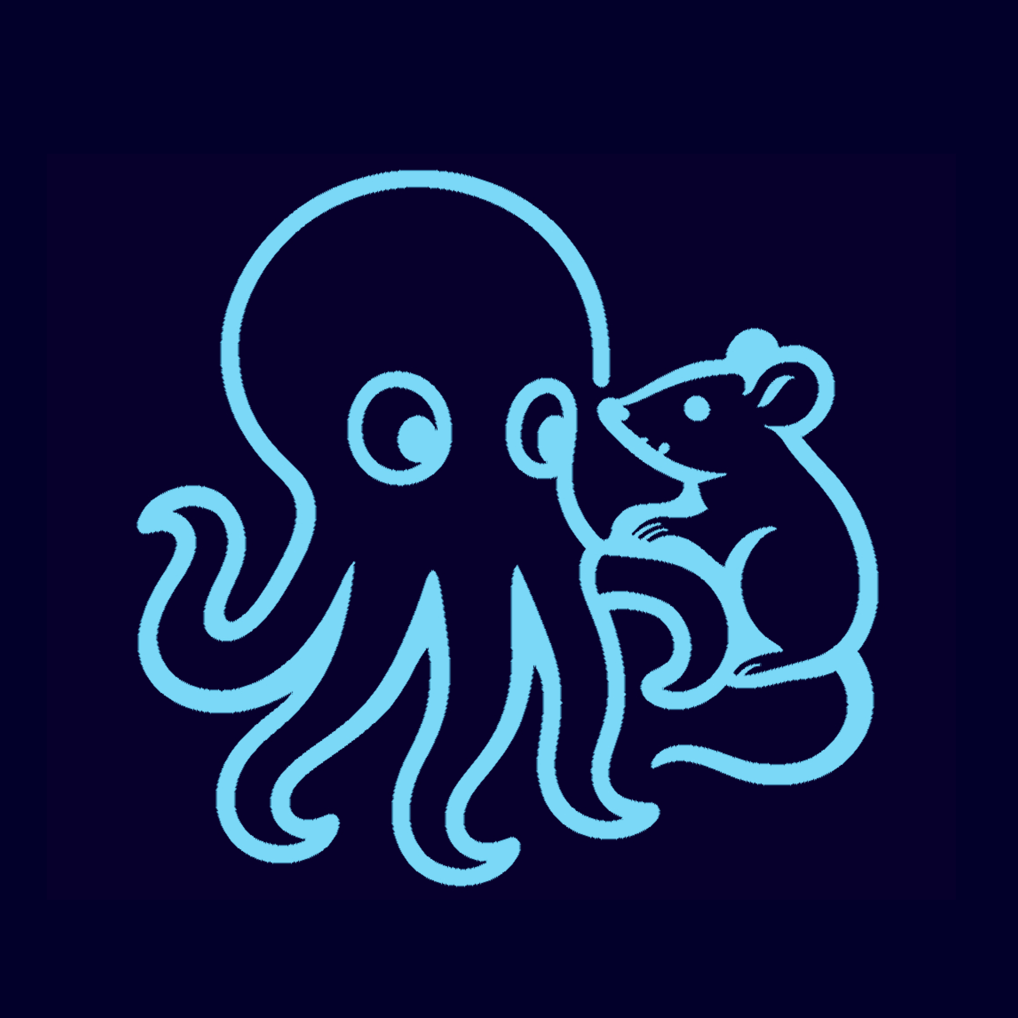 Roka Concepts itinérant